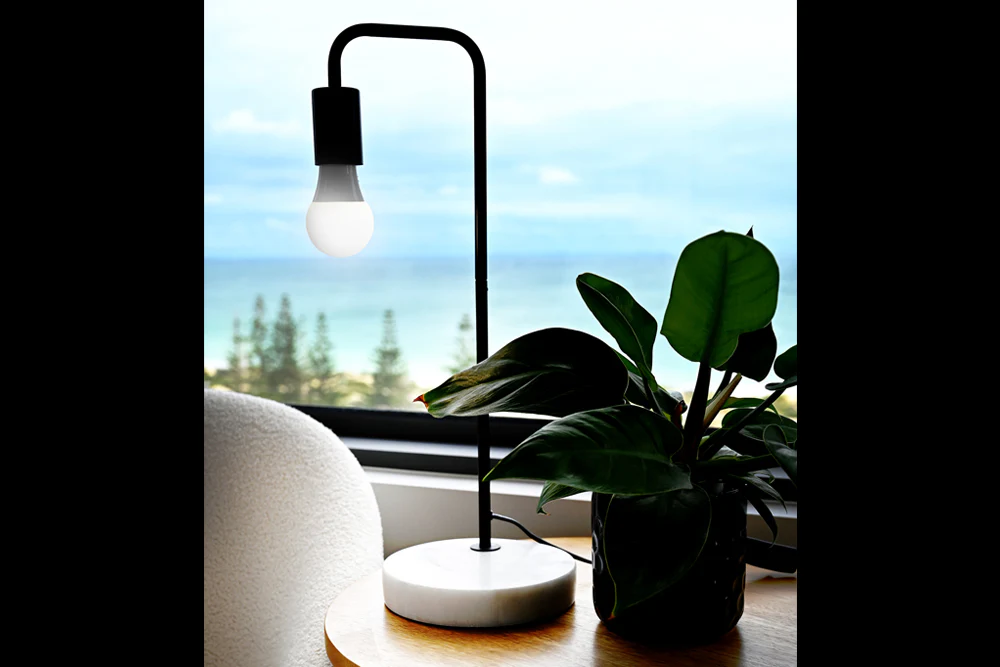 Full Spectrum Light Bulb - Image 3